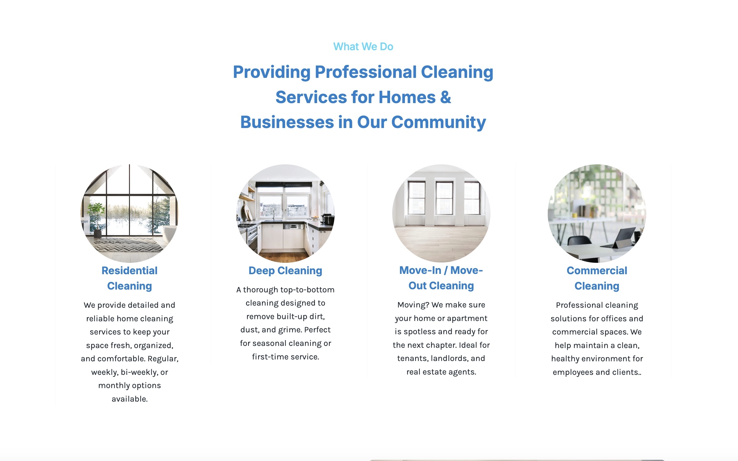 Cleaning Services Website - Image 2